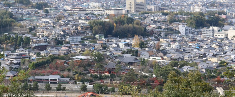 宇治市より